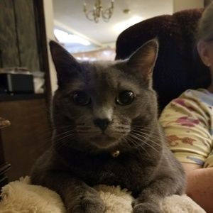 Meet your Posher, Keith